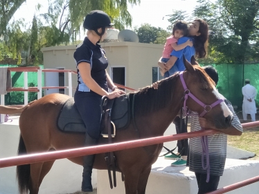 horse therapy